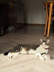 静岡県静岡市の萩原工業株式会社｜BLOGのサムネイル