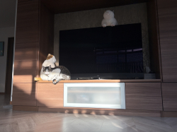 静岡県静岡市の萩原工業株式会社｜BLOGのサムネイル