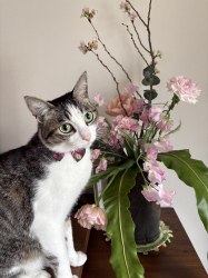 静岡県静岡市の萩原工業株式会社｜BLOGのサムネイル